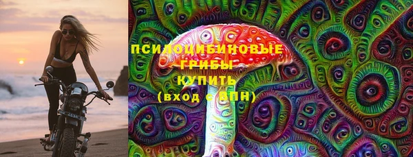 шишки Волоколамск